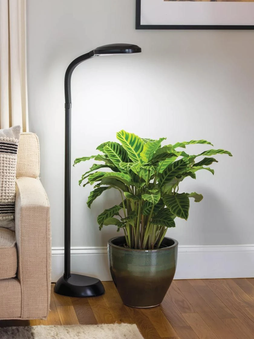 Agrobrite Floor LED Plant Lamp Agrobrite Floor LED Plant Lamp -Gardene Supply Sales 8608870 0308 tif