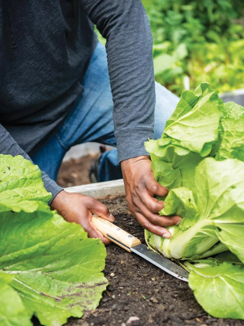 Gardener's Lifetime Hori Hori Knife Gardener's Lifetime Hori Hori Knife -Gardene Supply Sales 8608888 0416 tif