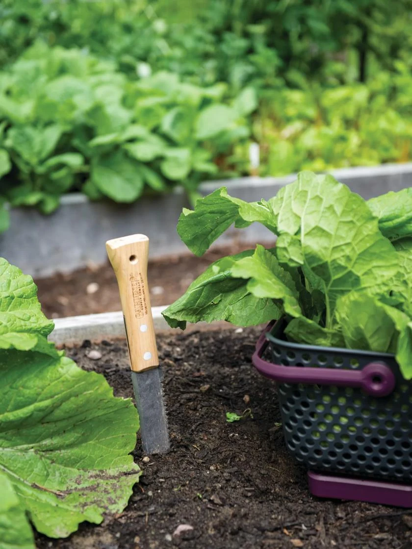 Gardener's Lifetime Hori Hori Knife Gardener's Lifetime Hori Hori Knife -Gardene Supply Sales 8608888 0421 tif