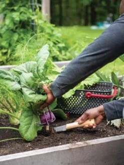 Gardener's Lifetime Hori Hori Knife 2 Gardener's Lifetime Hori Hori Knife -Gardene Supply Sales 8608888 0422 tif