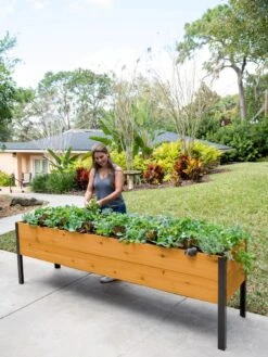 Self-Watering Eco-Stained Elevated Planter Box, 2' X 8' -Gardene Supply Sales 8608965 6069 tif
