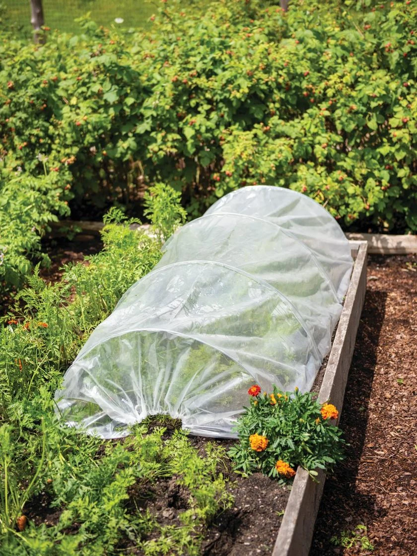 Easy Plastic Garden Tunnel Easy Plastic Garden Tunnel -Gardene Supply Sales 8609052 0405 tif