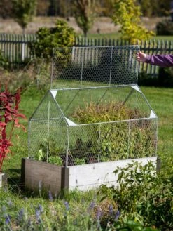 Chicken Wire Crop Coop -Gardene Supply Sales 8609080 4024