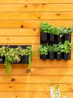 8 Pot Metal Wall Planter 3 8 Pot Metal Wall Planter -Gardene Supply Sales 8609195 6250 tif