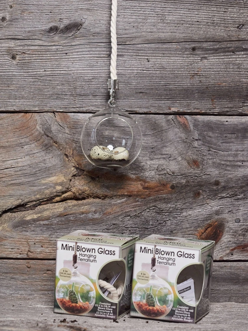Mini Blown-Glass Hanging Terrarium, Set of 2 Mini Blown-Glass Hanging Terrarium, Set Of 2 -Gardene Supply Sales 8609218 01v