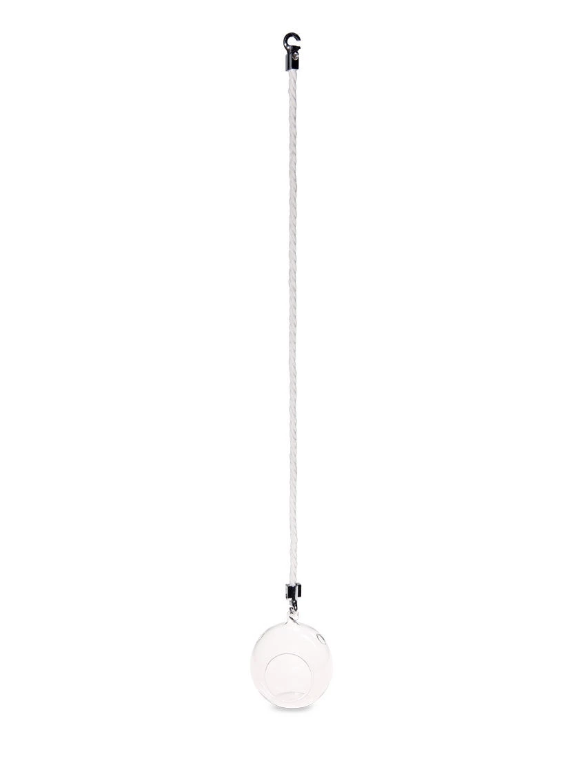 Mini Blown-Glass Hanging Terrarium, Set of 2 Mini Blown-Glass Hanging Terrarium, Set Of 2 -Gardene Supply Sales 8609218 4748