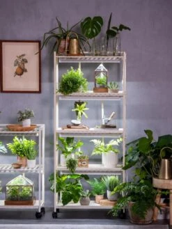 Oslo 4-Tier LED Grow Light Garden -Gardene Supply Sales 8609220 4116 tif