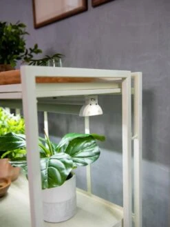 Oslo 2-Tier LED Grow Light Garden, 2 Fixtures -Gardene Supply Sales 8609221 4101 tif