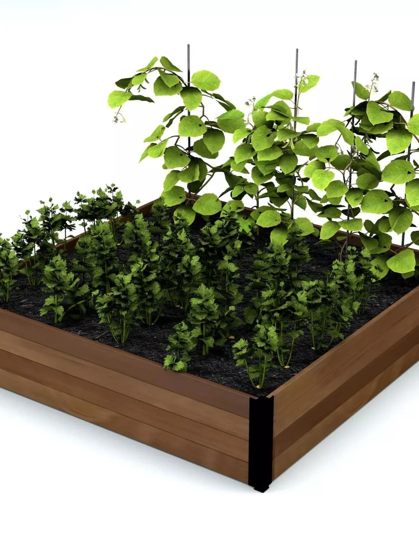 Vita Mezza Garden Bed, 4’x4’x11” Vita Mezza Garden Bed, 4’x4’x11” -Gardene Supply Sales 8609392 02V jpg
