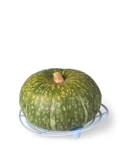 Melon And Squash Cradles, Set Of 6 2 Melon And Squash Cradles, Set Of 6 -Gardene Supply Sales 8609464 5204 tif