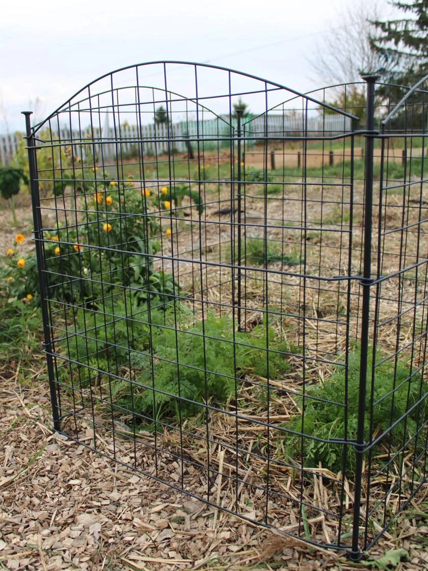 4 Panel Critter Fence 4 Panel Critter Fence -Gardene Supply Sales 8609510 5235 tif