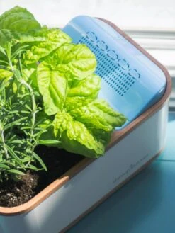 Dewplanter -Gardene Supply Sales 8609512 04V