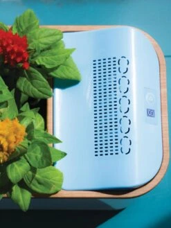 Dewplanter -Gardene Supply Sales 8609512 Dewplanter