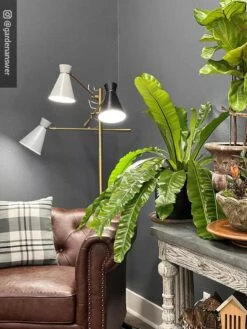 Adjustable 3-Arm Grow Lamp 5 Adjustable 3-Arm Grow Lamp -Gardene Supply Sales 8609868 01IN tif