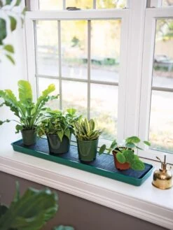 Self-Watering Windowsill Tray -Gardene Supply Sales 8609873 9011 tif