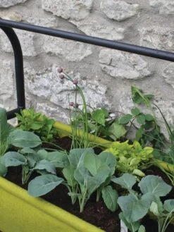 Vigoroot™ Self-Watering Easy Garden Planter -Gardene Supply Sales 8609879 04V tif