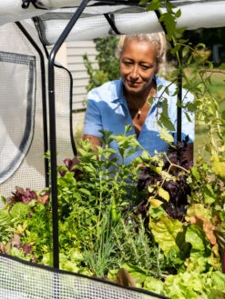 VegTrug®Patio Garden Greenhouse Cover Kit 2 VegTrug®Patio Garden Greenhouse Cover Kit -Gardene Supply Sales 8610172 1256