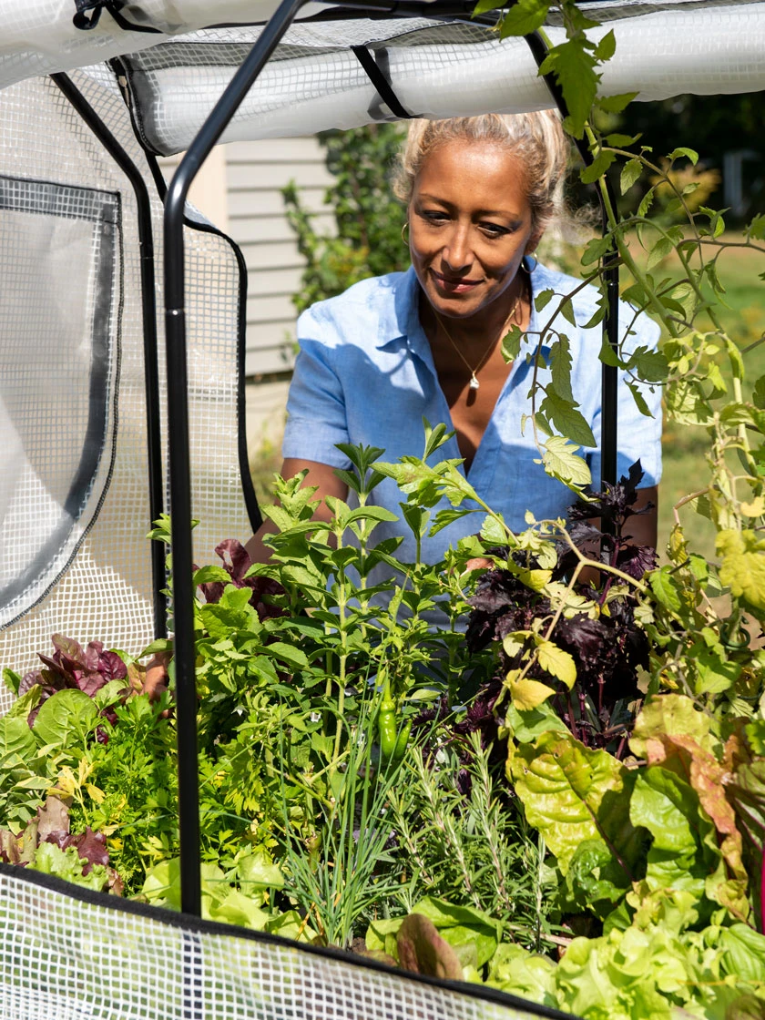 VegTrug®Patio Garden Greenhouse Cover Kit VegTrug®Patio Garden Greenhouse Cover Kit -Gardene Supply Sales 8610172 1256