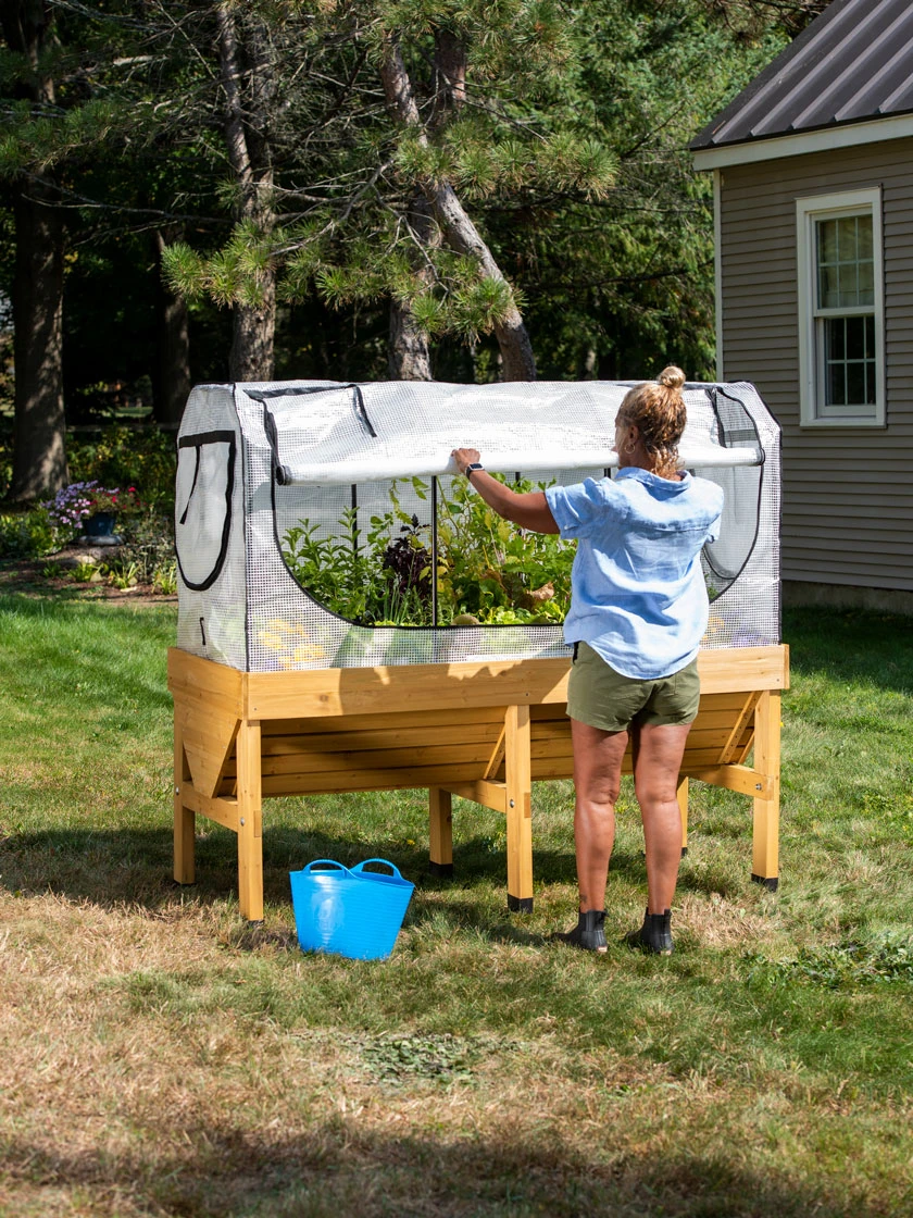 VegTrug®Patio Garden Greenhouse Cover Kit VegTrug®Patio Garden Greenhouse Cover Kit -Gardene Supply Sales 8610172 1268