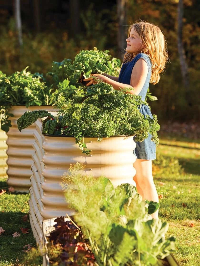 Birdies™ Modular Metal Raised Bed, Tall Birdies™ Modular Metal Raised Bed, Tall -Gardene Supply Sales 8610174 05010 tif