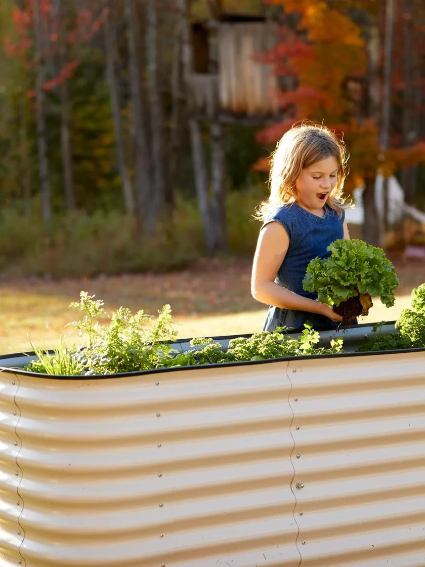 Birdies™ Modular Metal Raised Bed, Tall Birdies™ Modular Metal Raised Bed, Tall -Gardene Supply Sales 8610174 5015 tif