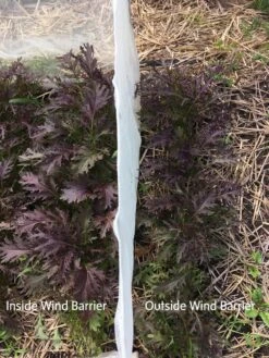 Wind Screen -Gardene Supply Sales 8610175 1245 tif