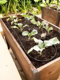 Raised Bed Drip Line Irrigation Kit