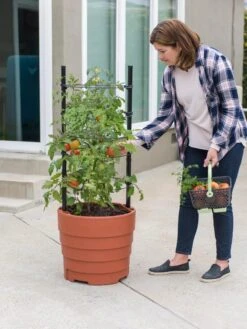 Gardener’s Victory Self-Watering Planter Garden Kit -Gardene Supply Sales 8610239 06002 tif