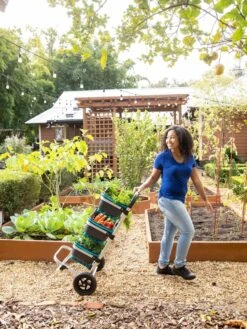 Mod Hod Trolley With Teal Mod Hods -Gardene Supply Sales 8610240 0070 tif