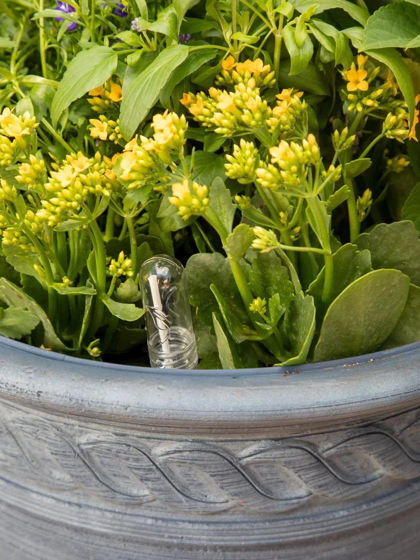 Adjustable Self-Watering Insert for Pots and Planters Adjustable Self-Watering Insert For Pots And Planters -Gardene Supply Sales 8610250 0010 tif