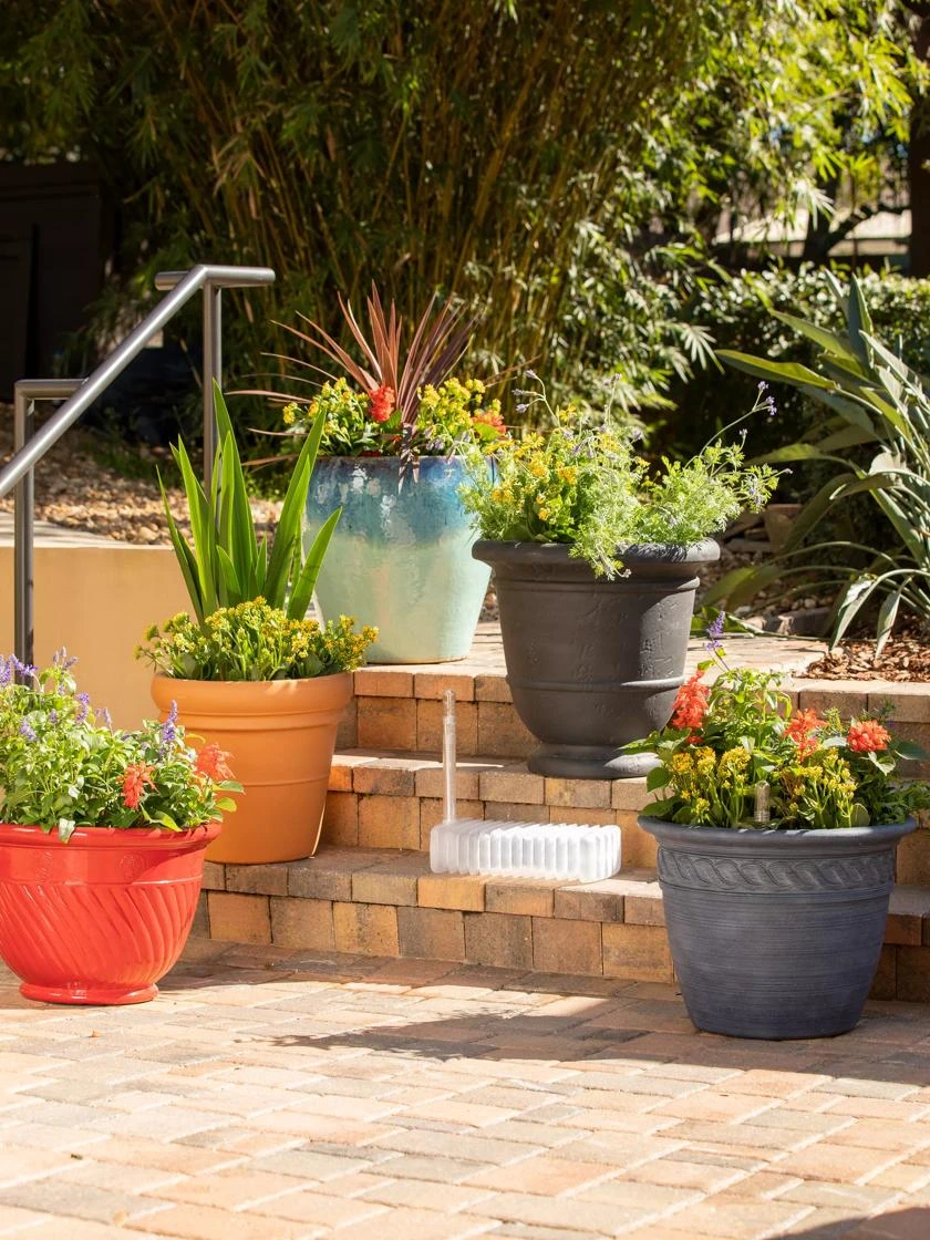 Adjustable Self-Watering Insert for Pots and Planters Adjustable Self-Watering Insert For Pots And Planters -Gardene Supply Sales 8610250 0015 tif