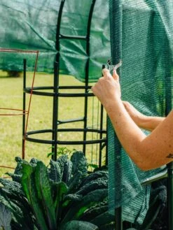 Maxi Garden Hoops With Clips -Gardene Supply Sales 8610372 368 tif