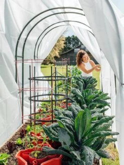 Maxi Garden Hoops With Clips -Gardene Supply Sales 8610373 377 tif