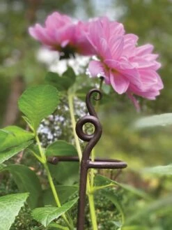 Gardene Supply Sales -Gardene Supply Sales 8610375 5701 tif