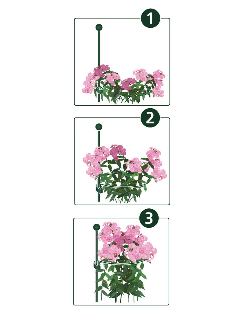 Peacock Mini Plant Support Rings 4", Set of 2 Peacock Mini Plant Support Rings 4", Set Of 2 -Gardene Supply Sales 8610383 07v