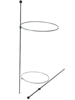 Peacock Classic Plant Support Rings 15", Set Of 2 -Gardene Supply Sales 8610384 9562 tif