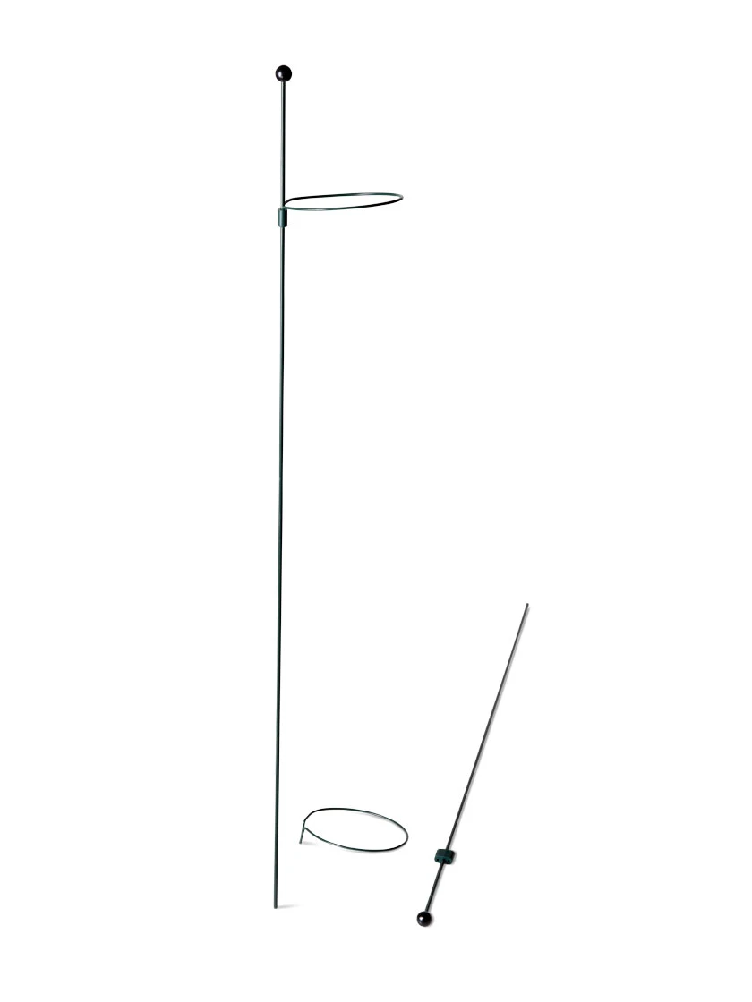 Peacock Mini Plant Support Rings 4", Set of 2 Peacock Mini Plant Support Rings 4", Set Of 2 -Gardene Supply Sales 8610386 9566