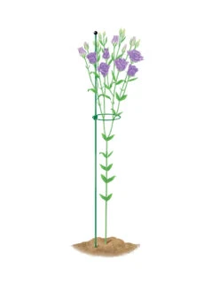 Peacock Mini Plant Support Rings 4", Set Of 2 2 Peacock Mini Plant Support Rings 4", Set Of 2 -Gardene Supply Sales 8610386 peacock4x36