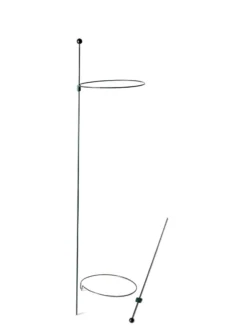 Peacock Mini Plant Support Rings 8", Set Of 2 -Gardene Supply Sales 8610388 9565 tif