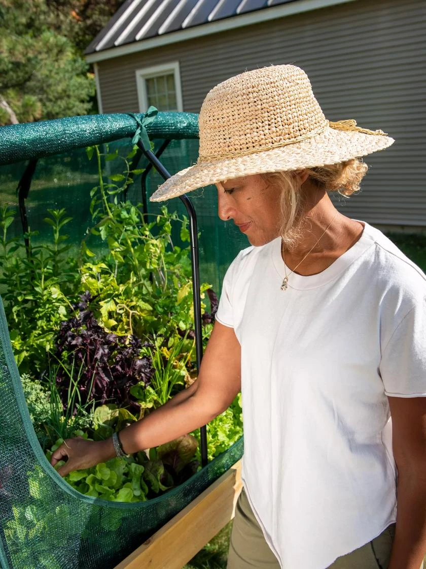 Compact VegTrug® Shade Cover Compact VegTrug® Shade Cover -Gardene Supply Sales 8610404 8575 tif