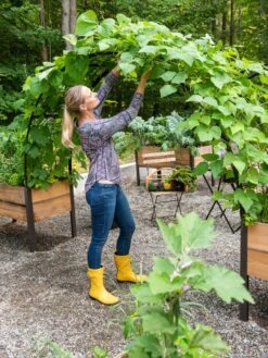 2’ X 8’ Arch Trellis For Planter Boxes -Gardene Supply Sales 8610798 050 tif