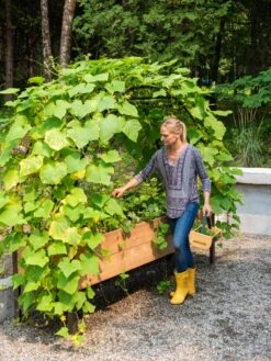 Featured Products -Gardene Supply Sales 8610798 062 tif