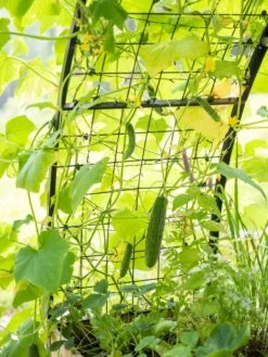 2’ X 8’ Arch Trellis For Planter Boxes -Gardene Supply Sales 8610798 095 tif