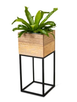 Tartu Elevated Square Planters -Gardene Supply Sales 8611005 036