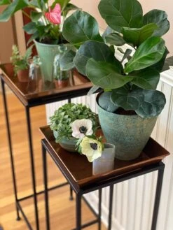 Square Nesting Plant Stands With Trays, Set Of 2 -Gardene Supply Sales 8611014 3651 tif