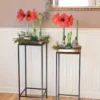 Square Nesting Plant Stands With Trays, Set Of 2