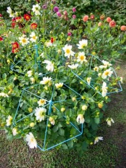 Gardene Supply Sales -Gardene Supply Sales 8611129 004 tif