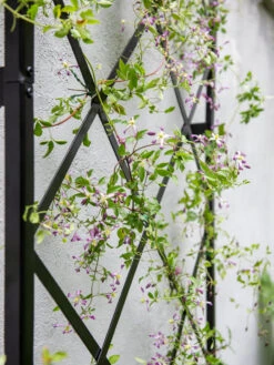 Lattice Gable Wall Trellis -Gardene Supply Sales 8611130 011