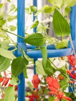 Fleur De Lis Obelisk, 67" 2 Fleur De Lis Obelisk, 67" -Gardene Supply Sales 8611663 0607 tif