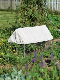 Crop Coop Covers Set -Gardene Supply Sales 8611698 004 tif